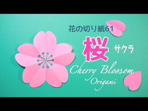 折り紙】桜/花の切り紙61🌸 Cherry Blossom - YouTube