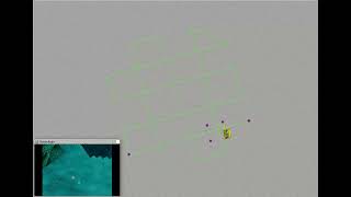 Nephrops&Burrows AUV Simulation