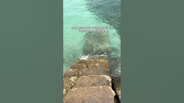 Add this audio to the last video in your camera roll. Here’s mine. #Trending #Shorts #Audio