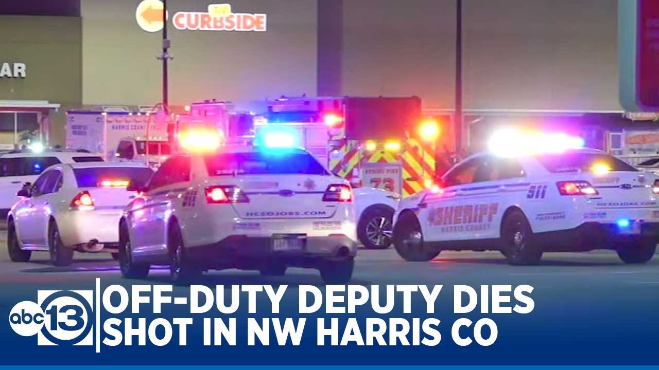 Offduty deputy shot at grocery store parking lot, HCSO says YouTube