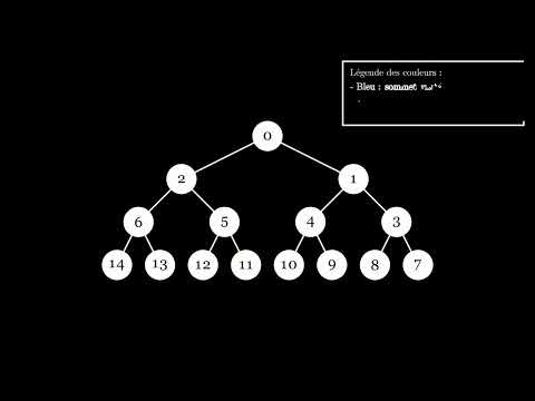 Depth First Search Algorithm [FR] - Manim animation