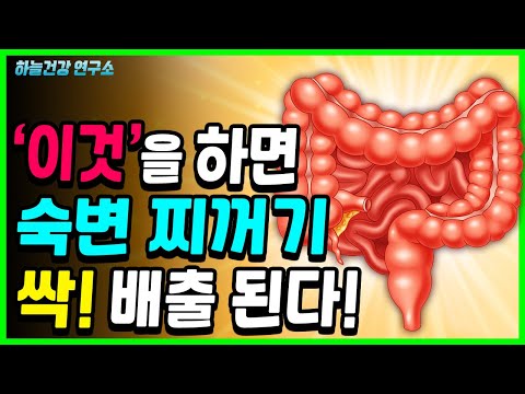 &amp;#39;이것&amp;#39;을 물처럼 마셨더니 장 속 숙변 한번에 쏟아졌다! (변비탈출 소금물 장청소하는법)