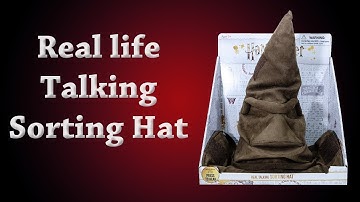 Real life Talking Sorting Hat