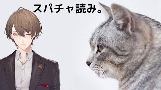 【雑談】春のスパチャ読み枠【にじさんじ/加賀美ハヤト】