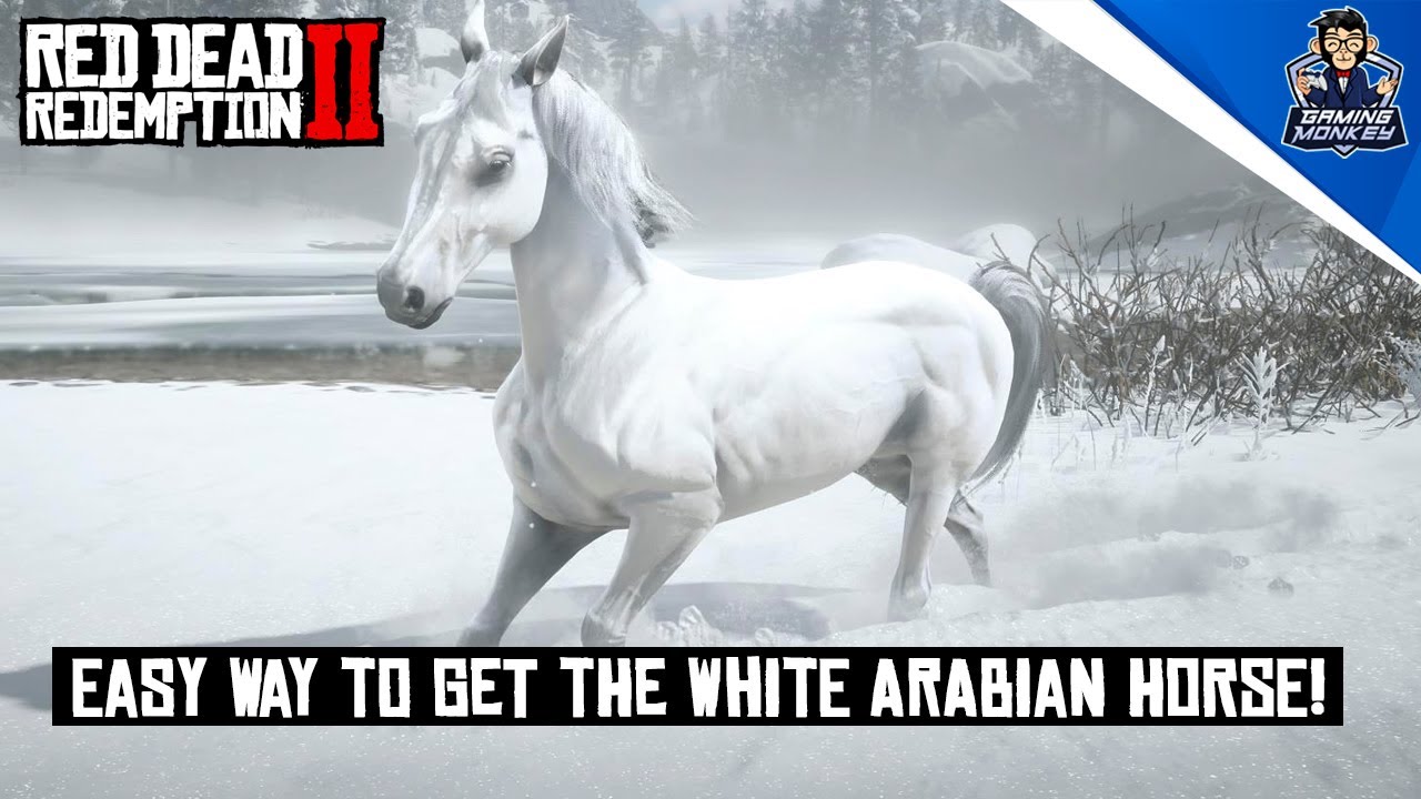 How to Get the White Arabian Horse in Red Dead Redemption 2 - YouTube