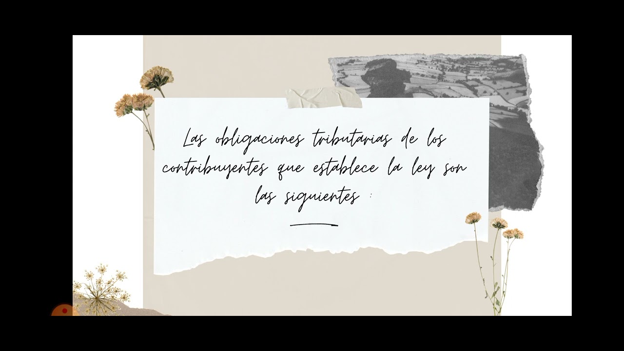 Clasificación de los contribuyentes y sus obligaciones Tributarias ...