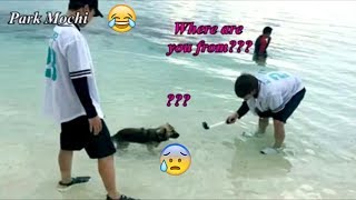 When you can't understand BTS (방탄소년단)