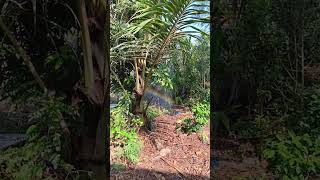 #nature #magic #rainbow #beutifull