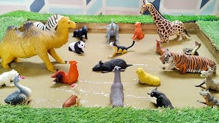 Animal Discovery: Unboxing the Latest African, Desert Animal Gadgets for Toddlers screenshot 5