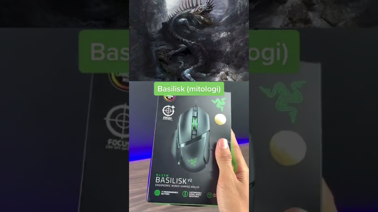 do you think there is another Razer gear name - Gaming Accessories 