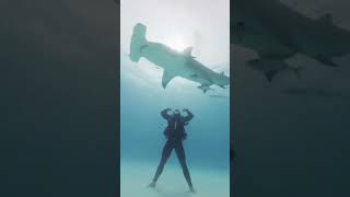 World Record Swim: Iceland (1,000 miles) DOCUMENTARY on Channel 4 at 7:30pm: 7th, 14th & 21st of Feb