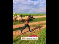 حتى عنا بالجرية تربية اوروبية الشعب الصيني ماله حل اكسبلور الجهمان 