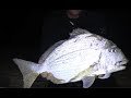 ASFN Fishing Vlog 0189 - Cape Vidal Zulu Land Scratching for Edibles