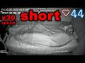 Sleep Stream short x30 speed 29.05.2026 ssv 1440p 2k