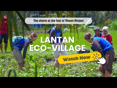 Mengenal Desa Wisata Lantan 1