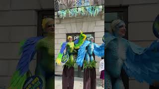 1 400 Parakeets Died Now We re Calling Out Petco