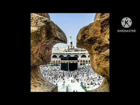 ผลสลากกินแบ่งรัฐบาล วันที่ 1 พย. 2567