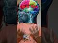 how your brain embarrass you #anisphere #sciencefacts #brainfacts #psychology