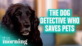The Real-Life Scooby Doo Who Finds And Rescues Missing Pets! | This Morning