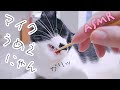 ASMR 保護猫のいる家で耳かき (睡眠用)