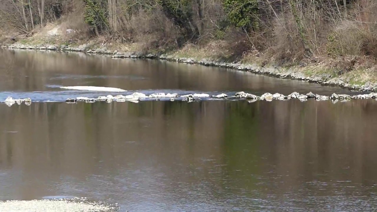 Wertach Vital von Gollwitzterbrücke  bis Luipoldbrücke  .