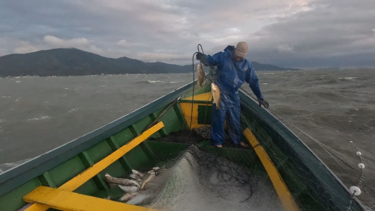 PESCARIA NO MAR DE DENTRO COM VENTO, CHUVA, SOL E VÁRIOS PEIXES - Pescadinha no Forno
