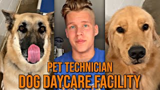 Day in the Life of a Pet Technician - Dog Daycare
