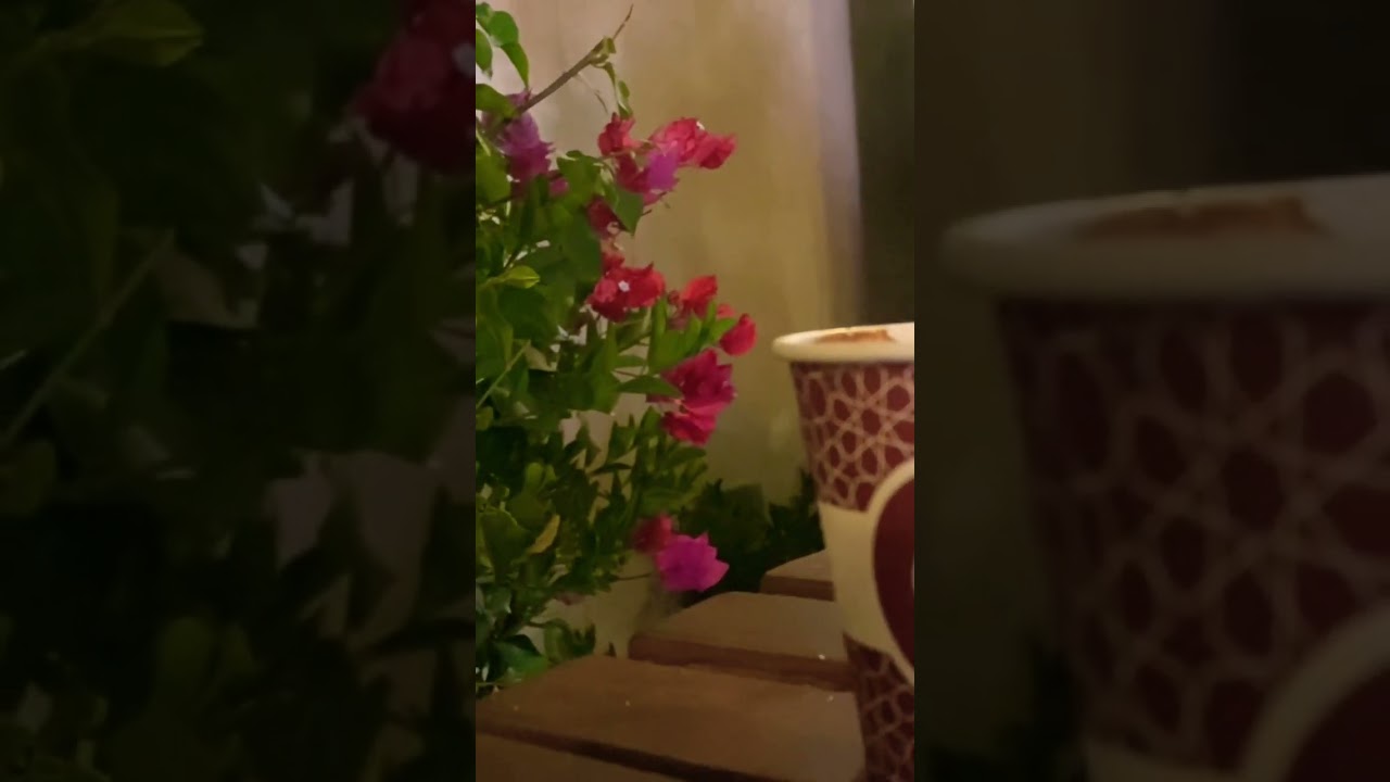 Winter in Drinking Tea ☕️ 