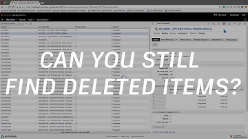Fusion Lifecycle:  How to Delete (and Find Deleted) Records
