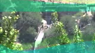 Hewad Tv Sail Program.flv