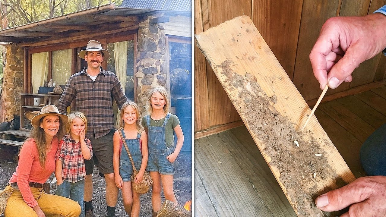 Off-Grid Family Vanished in 1996, Maggots at Old Cabin Reveal the Truth 10  Years Later...
