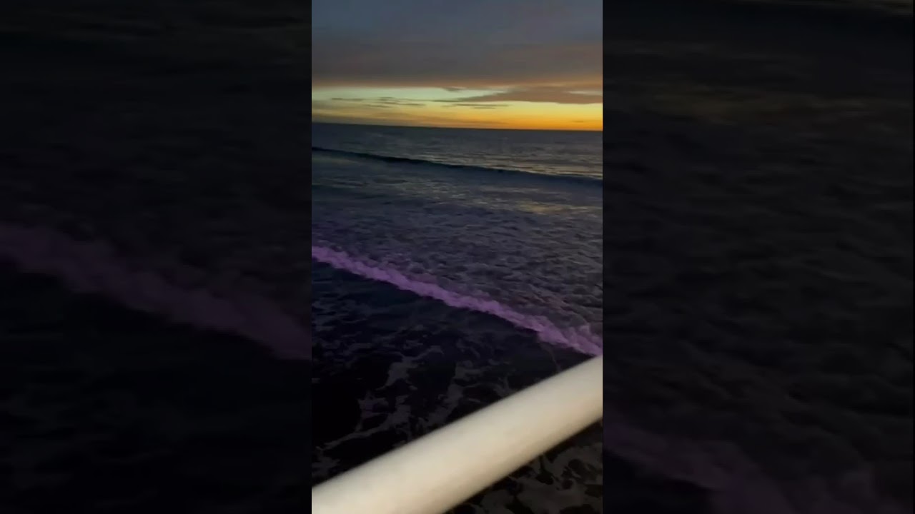 Glenelg sea beach in night 