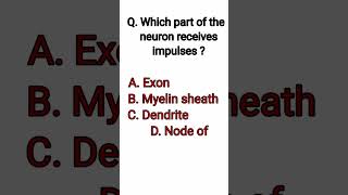 Which Part of Neuron Receives Impulses? | Dendrite MCQ 🧠 #shorts
