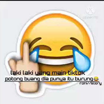 story WA goyang tiktok