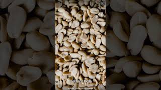 Peanuts Aren't Nuts—They Grow Underground Like Potatoes