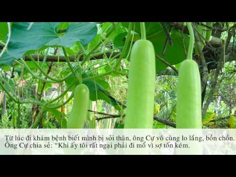 Video Ông lão 75 tuổi tự chữa khỏi sỏi thận và sỏi bùn chỉ... - youtube