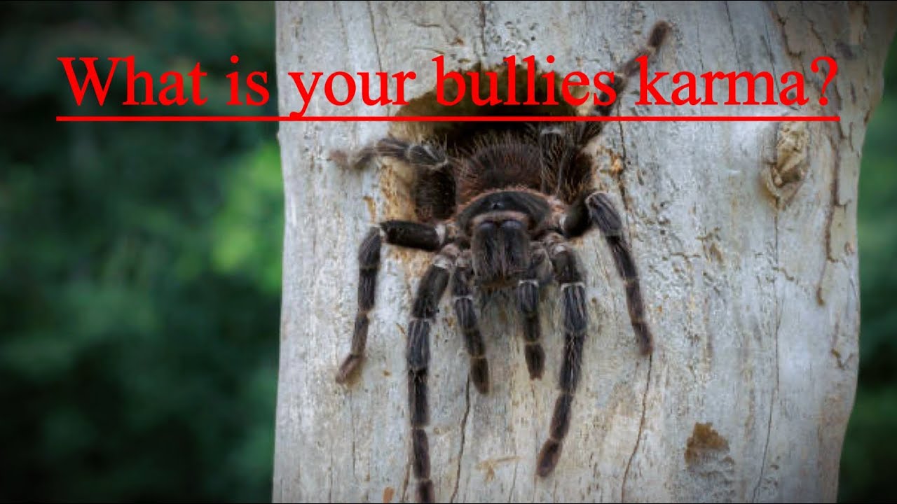 Какая у тебя карма хулиганов? Выбери карту #карма #злойглаз #ненавистники #withcraft #pickacard #...