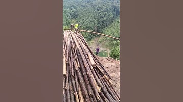 Loading logs into a truck using a linear lift