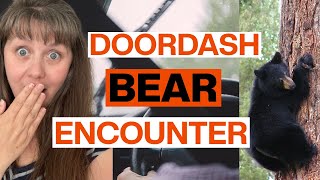 Door Dash Bear Encounter- Vacation Adventures with the Bealles