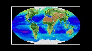 NASA satellite view of Earth ' breathe ' in awesome time-lapse video- ShockingTimes Profile