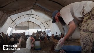 ممدوح الوعر.. مهجر من حمص يفتتح مدجنة في ريف إدلب لإنتاج البيض البلدي