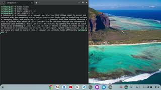 Easy Linux Commands for Beginners Using a Chromebook