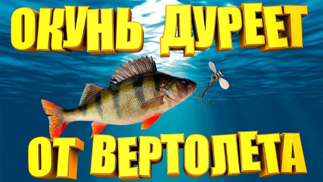 Эта снасть должна быть у каждого рыбака. Окунь оценит по достоинству  вертушку ВЕРТОЛЕТ...