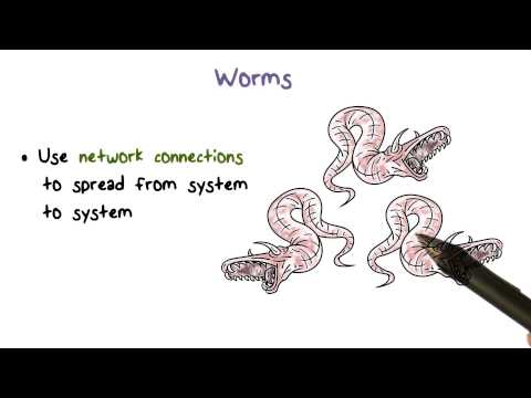 Worms