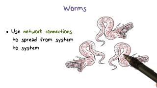 Worms