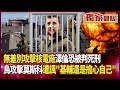 烏克蘭和俄羅斯的戰爭動態