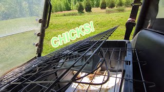 Chick Moving Day! by Troy Bell Outdoors 56 views 2 weeks ago 18 minutes