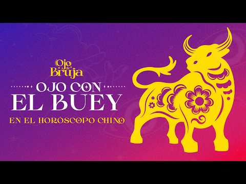 Ojo de Bruja | Ojo con el Buey en el horóscopo chino 🐂