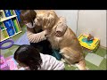 久しぶりのママから愛犬が離れなくなった