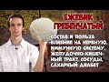 Ежевик гребенчатый - полезные свойства гриба, от чего лечит?